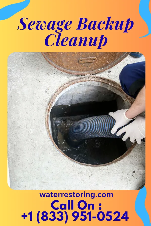 Sewage Backup Cleanup in Fort Lauderdale, FL